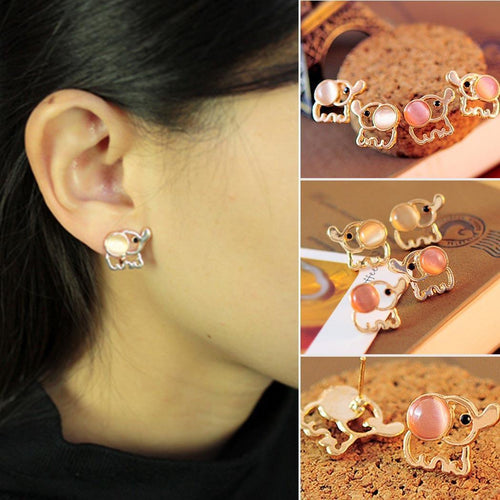Pair Earrings